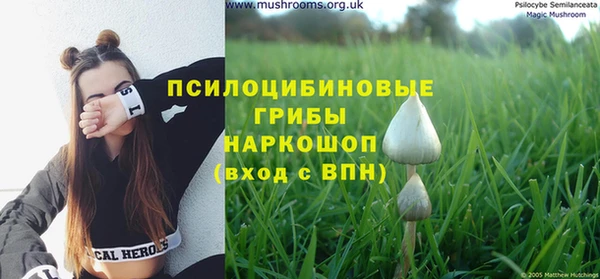 прущая мука Алзамай