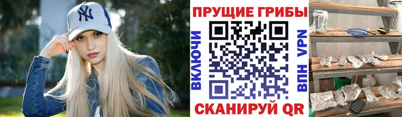 хочу наркоту  Фролово  Галлюциногенные грибы Magic Shrooms 